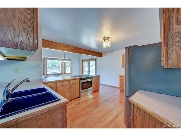 16670 Mt Princeton, Buena Vista, CO 81211