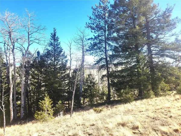 8802 Ranch, Hartsel, CO 80449
