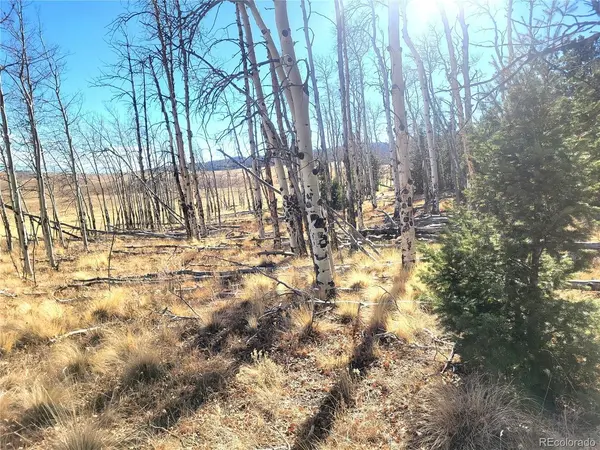 8802 Ranch, Hartsel, CO 80449