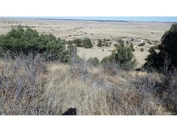 35584 Comanche Creek, Kiowa, CO 80117