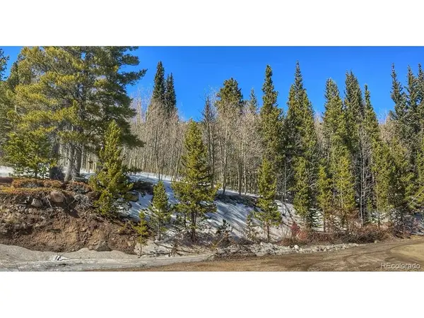 39 Glory Hole, Idaho Springs, CO 80452