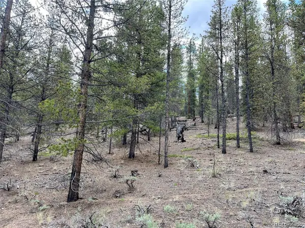 66 Ponderosa, Leadville, CO 80461