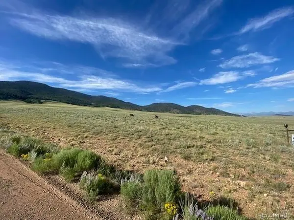 690 Eagle Gate, Westcliffe, CO 81252