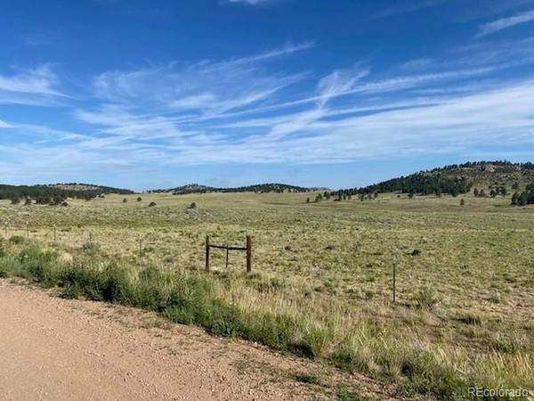 690 Eagle Gate, Westcliffe, CO 81252
