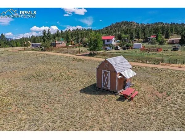 128 Osage, Lake George, CO 80827