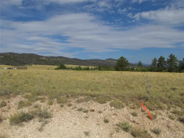 1250 Bolster, Hartsel, CO 80449