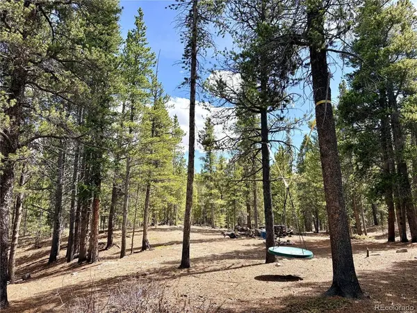 0 Georges, Alma, CO 80420