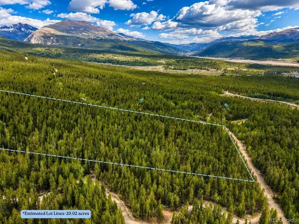 0 Georges, Alma, CO 80420