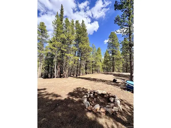 0 Georges, Alma, CO 80420