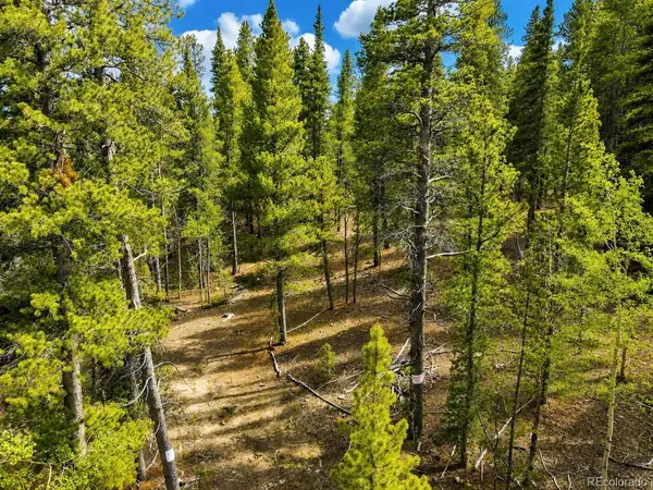 0 Georges, Alma, CO 80420