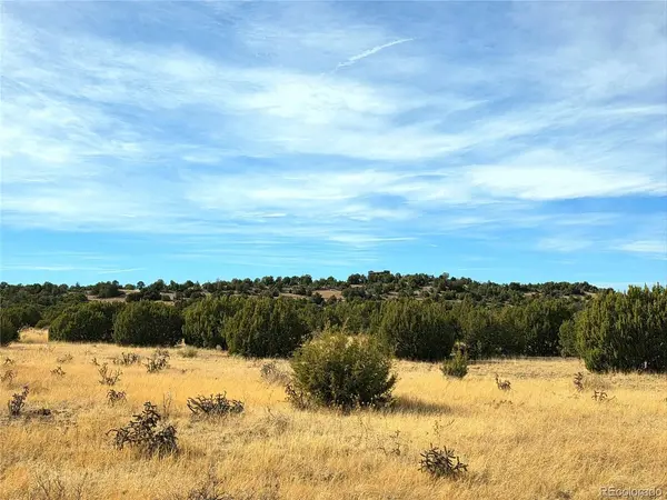 21 Bat Masterson, Trinidad, CO 81082