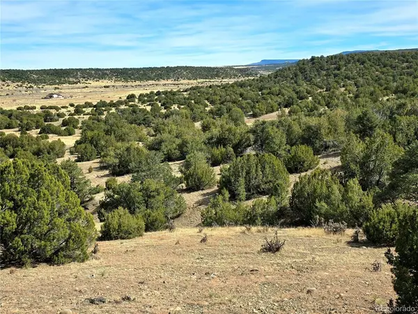 21 Bat Masterson, Trinidad, CO 81082