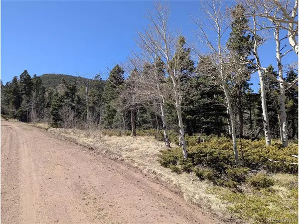 2938 Kemper, Fort Garland, CO 81133