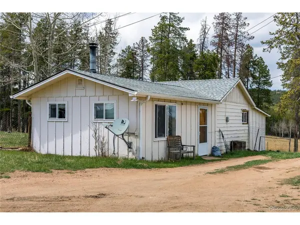 31511 Shadow Mountain, Conifer, CO 80433