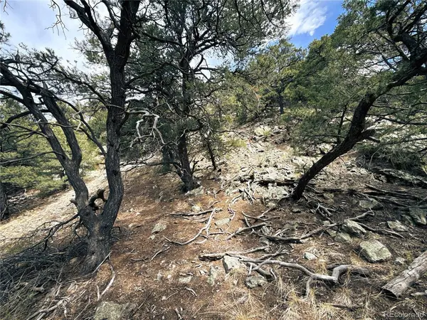 189 Cedar Ridge, Mosca, CO 81146