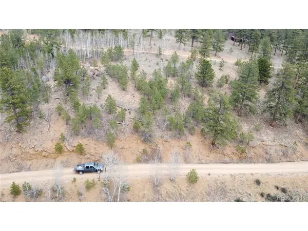 397 Neish, Bailey, CO 80421