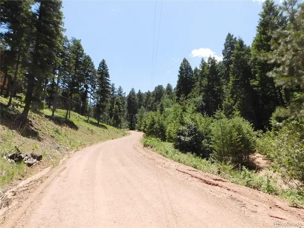 13175 Spruce Creek, Larkspur, CO 80118
