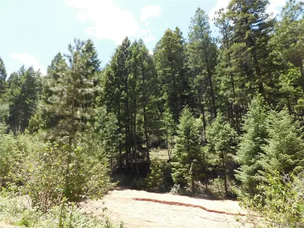 13175 Spruce Creek, Larkspur, CO 80118