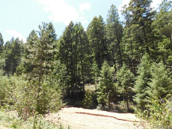 13175 Spruce Creek, Larkspur, CO 80118