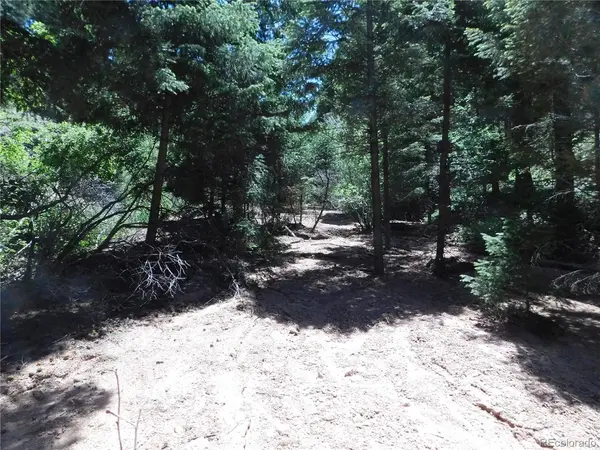 13175 Spruce Creek, Larkspur, CO 80118