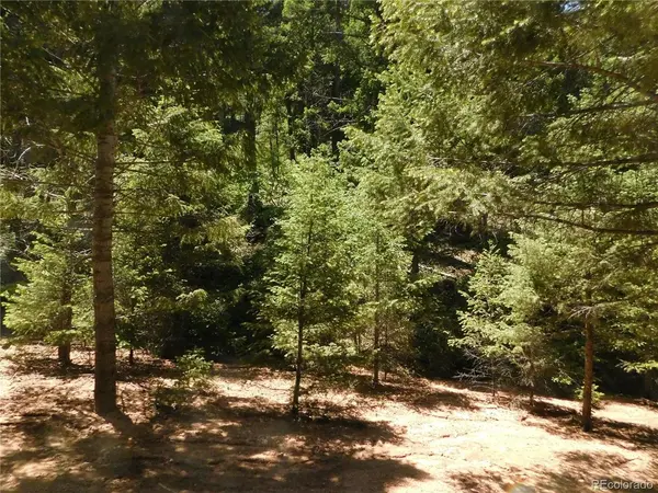 13175 Spruce Creek, Larkspur, CO 80118