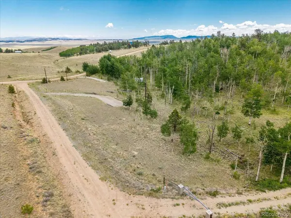 40 Brahma, Hartsel, CO 80449