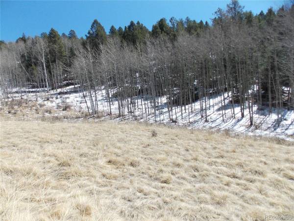 388 Grey Eagle, Cripple Creek, CO 80813