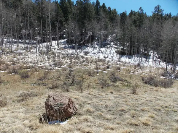 388 Grey Eagle, Cripple Creek, CO 80813
