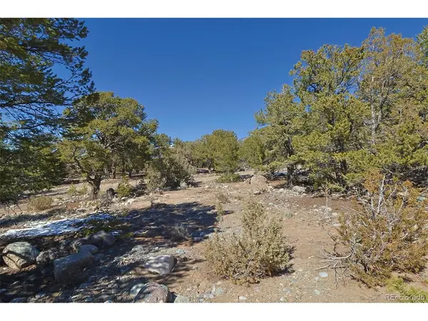 3608 Splendid, Crestone, CO 81131