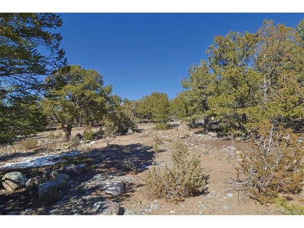 3608 Splendid, Crestone, CO 81131