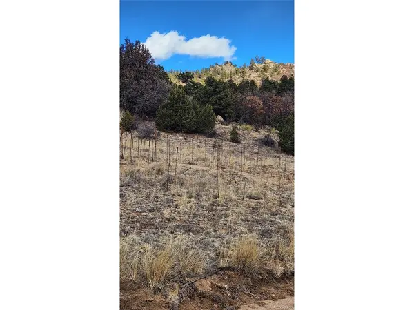 47 White Cloud, Cotopaxi, CO 81223