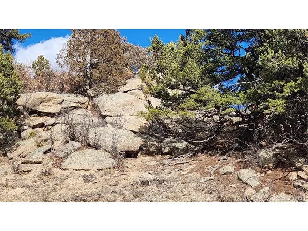 47 White Cloud, Cotopaxi, CO 81223