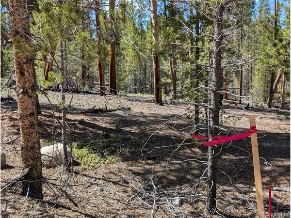495 Birch, Twin Lakes, CO 81251