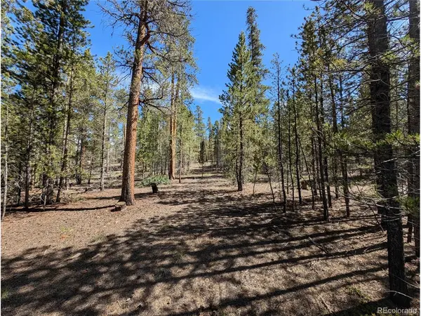 495 Birch, Twin Lakes, CO 81251