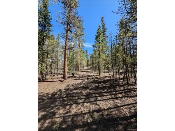 495 Birch, Twin Lakes, CO 81251