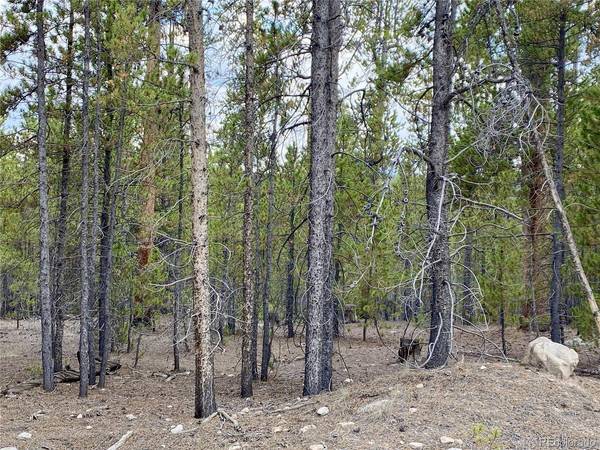 340 Peak View, Twin Lakes, CO 80461