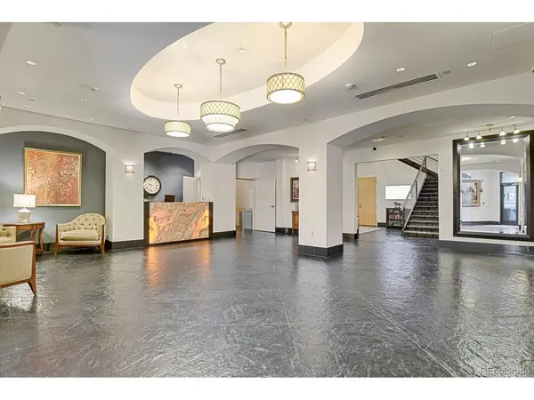 925 N Lincoln #8G, Denver, CO 80203