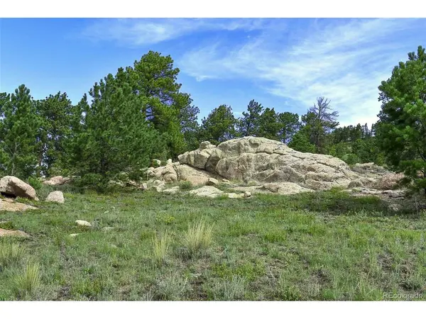 32 Peak, Guffey, CO 80820