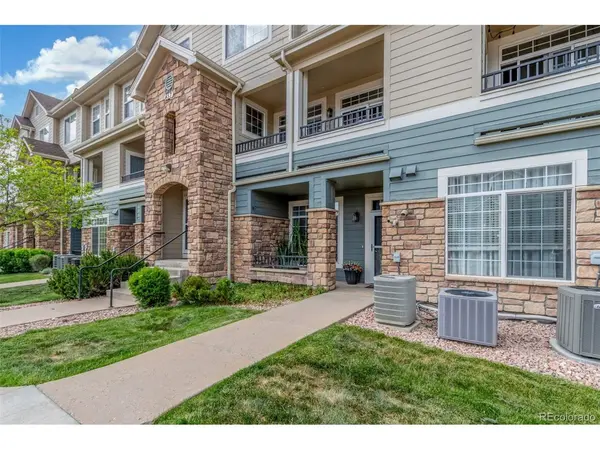 457 Black Feather #702, Castle Rock, CO 80104