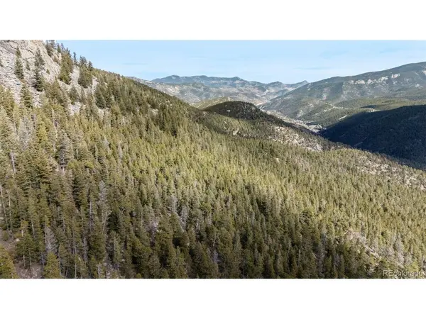 Alps Mountain, Idaho Springs, CO 80452