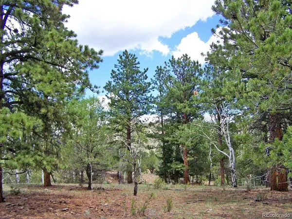 8 Big Sandy Estaes, Buena Vista, CO 81211