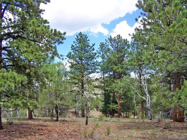 8 Big Sandy Estates, Buena Vista, CO 81211