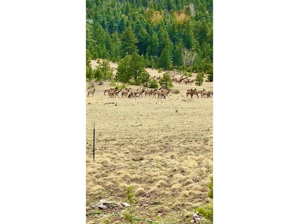 324 Elk View, Canon City, CO 81212