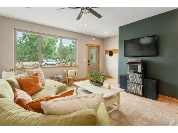 463 California, Buena Vista, CO 81211