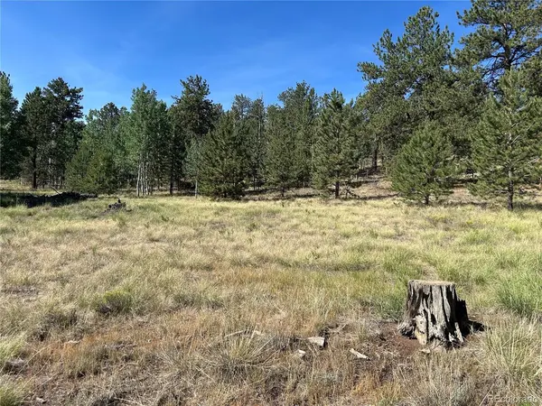 565 Hayhook, Hartsel, CO 80449
