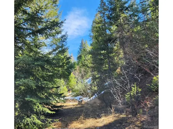 10151 Coronado, Morrison, CO 80465