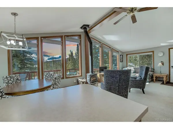 394 CO RD 14A, Fairplay, CO 80440