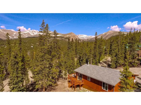 394 CO RD 14A, Fairplay, CO 80440