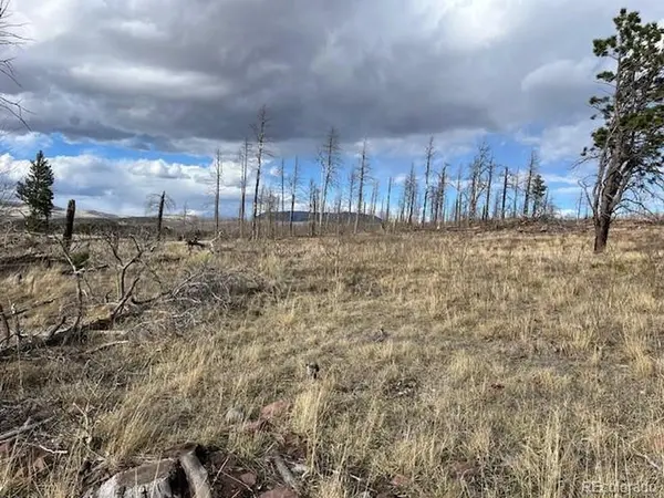 1020 Hassan, Fort Garland, CO 81133