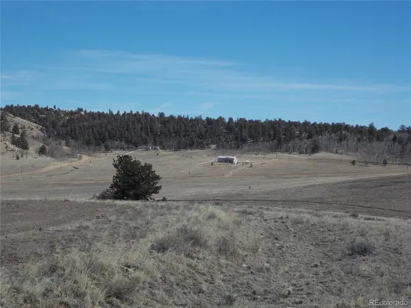 5795 Guipago, Hartsel, CO 80449